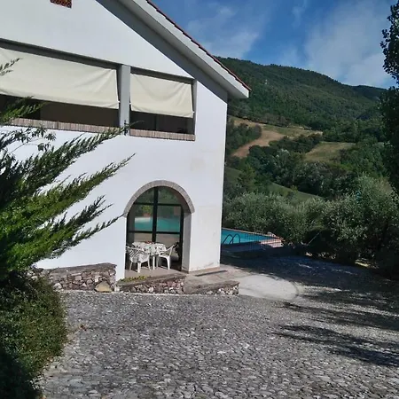 Il Manoscritto Coppe