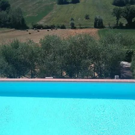 Il Manoscritto *